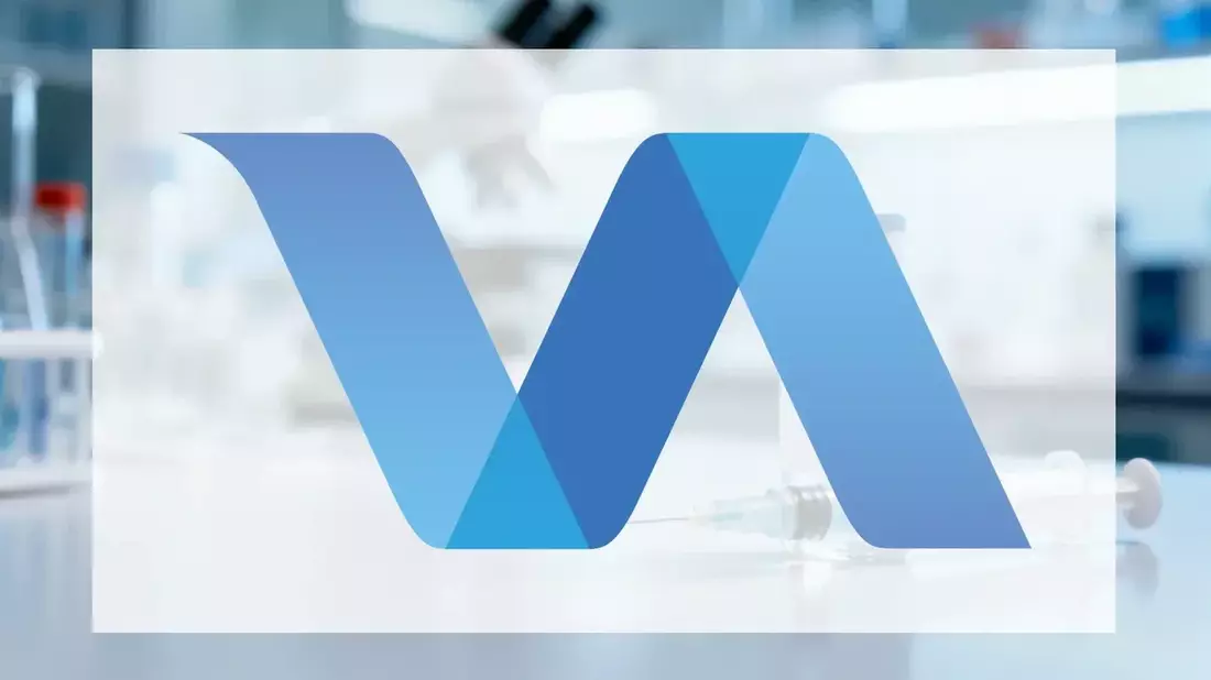 Valneva's Lyme Vaccine LB6V Faces Regulatory Hurdles Amid Financial Strain