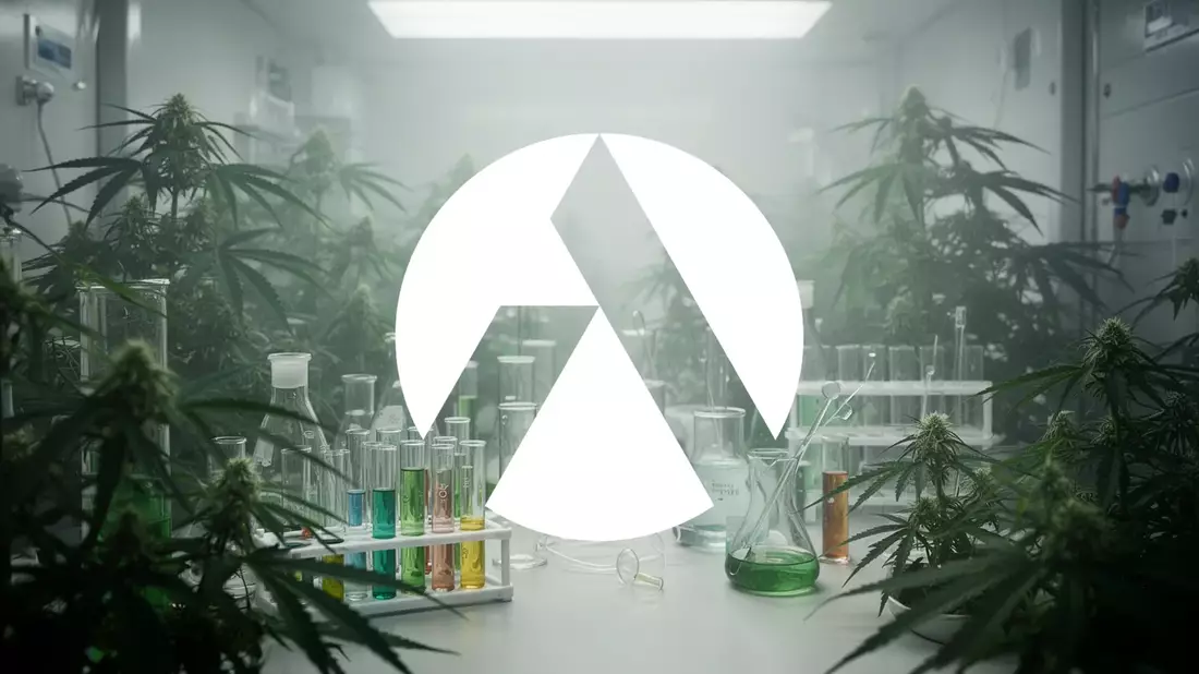 Tilray Brands: Quartalszahlen und US-Cannabis-Wette im Fokus
