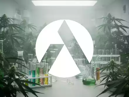 Abstrakte Darstellung der Pharma- und Cannabisindustrie mit Fokus auf regulatorische Änderungen. Diffuses Licht in steriler, organischer Umgebung. - Foto: über boerse-global.de