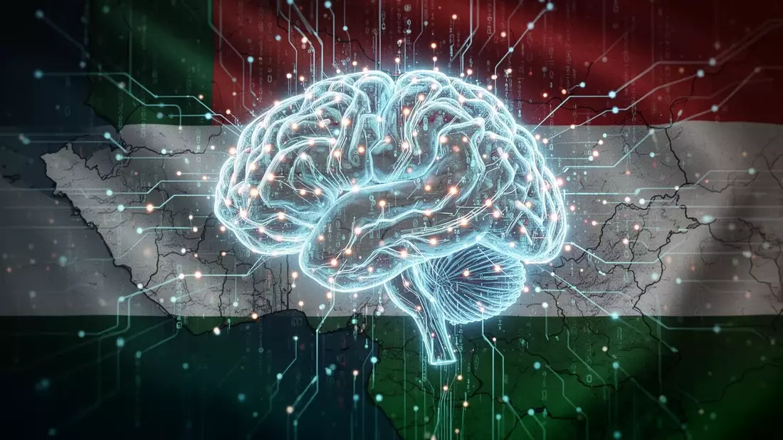 Nigeria leitet Untersuchung gegen Meta, Alphabet und X ein