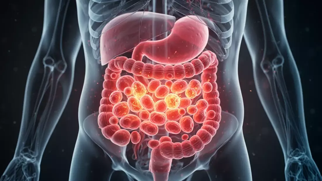 Bryan Johnson: Autoimmune Gastritis trotz Millionenbudget entdeckt