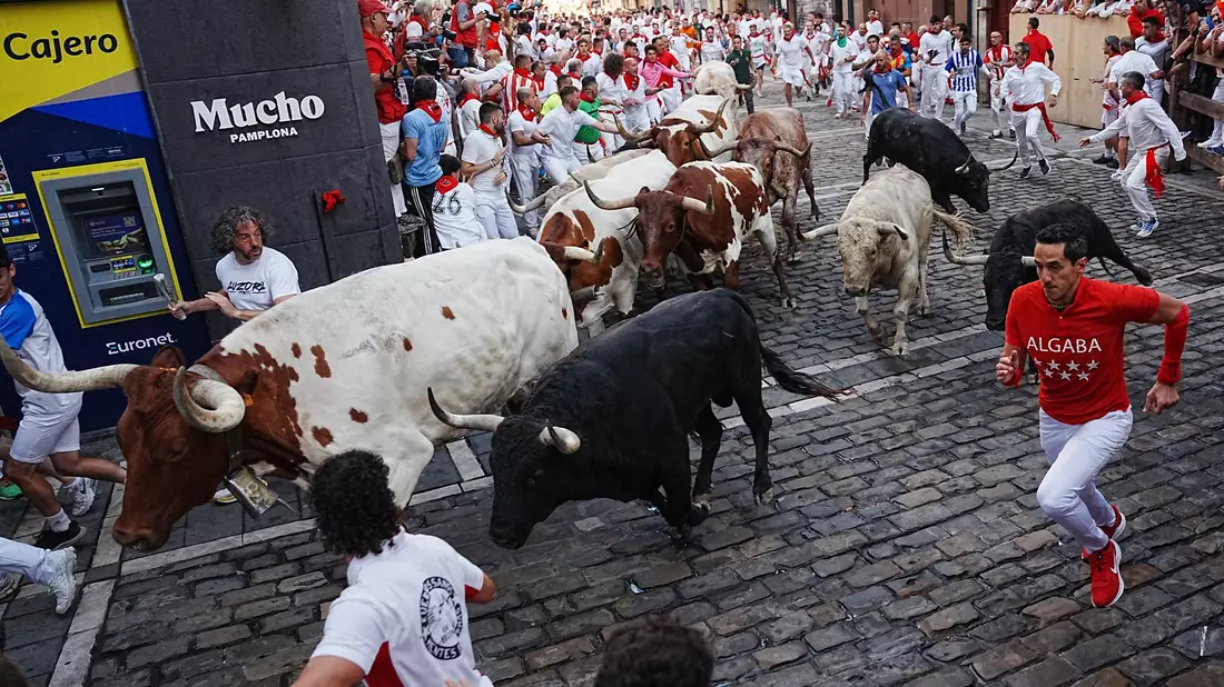 Die Stierhatzen im nordspanischen Pamplona sind schnell und gefährlich. Beim ersten von acht Läufen gab es zum Glück nur Leichtverletzte. Die Bullen aber sterben am späten Nachmittag in der Stierkampfarena. - Bild: Miguel Oses/AP/dpa