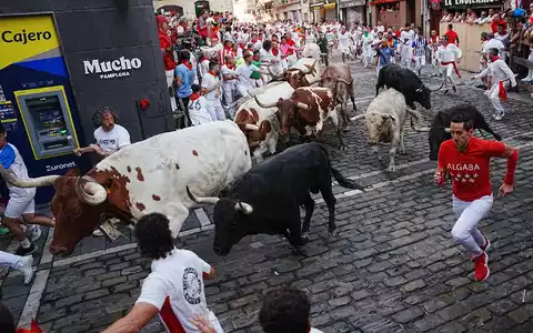 Die Stierhatzen im nordspanischen Pamplona sind schnell und gefährlich. Beim ersten von acht Läufen gab es zum Glück nur Leichtverletzte. Die Bullen aber sterben am späten Nachmittag in der Stierkampfarena. - Foto: Miguel Oses/AP/dpa