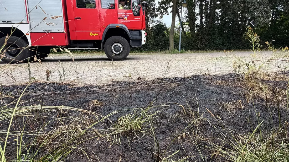 Feuerwehr Goch: Flächenbrand gefährdet abgestellte Fahrzeuge - Bild: presseportal.de
