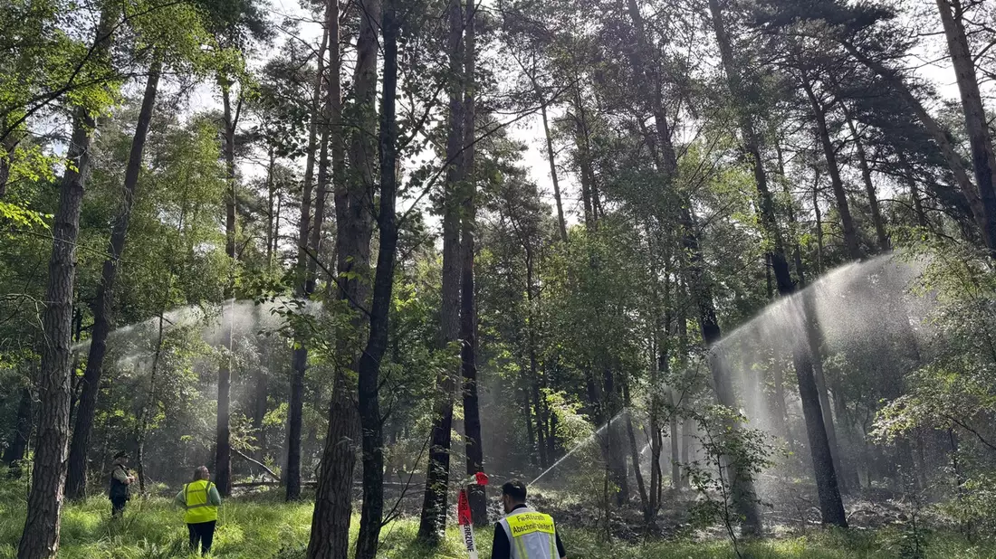 FW Rösrath: Abschlussmeldung zum Waldbrand in der Wahner Heide - Einsatz nach vielen Stunden beendet - Bild: presseportal.de