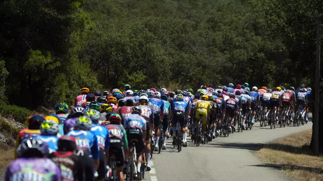 In brütender Hitze unterwegs: Die Profis bei der Tour de France.  - Bild: Thibault Camus/AP/dpa