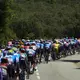 In brütender Hitze unterwegs: Die Profis bei der Tour de France.  - Bild: Thibault Camus/AP/dpa