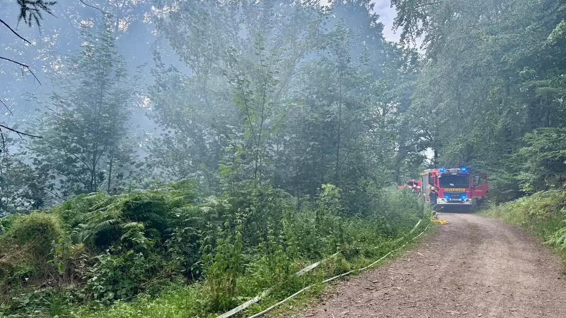 FW Hagen: Vegetationsbrand in Waldgebiet Ortsteil Hagen - Hohenlimburg - Bild: presseportal.de