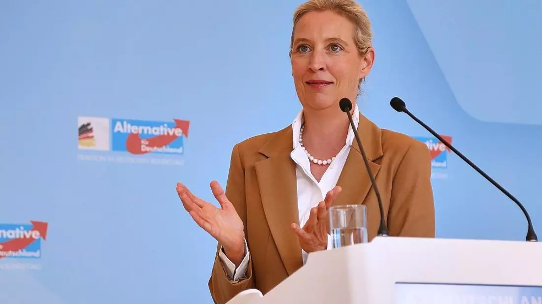 Brandmauer: AfD begrüßt Antrag aus Brandenburger Mittelstandsunion