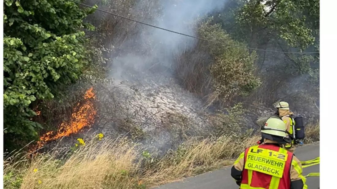 FW-GLA: Flächenbrand an der BAB 2 fordert umfangreichen Feuerwehreinsatz - Bild: presseportal.de