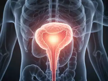 Eine detaillierte Darstellung oder Illustration der Prostata, möglicherweise mit einem sanften Leuchten, das eine Vergrößerung symbolisiert. - Foto: über boerse-global.de