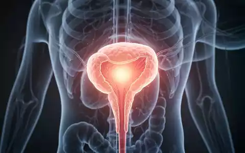 Eine detaillierte Darstellung oder Illustration der Prostata, möglicherweise mit einem sanften Leuchten, das eine Vergrößerung symbolisiert. - Foto: über boerse-global.de
