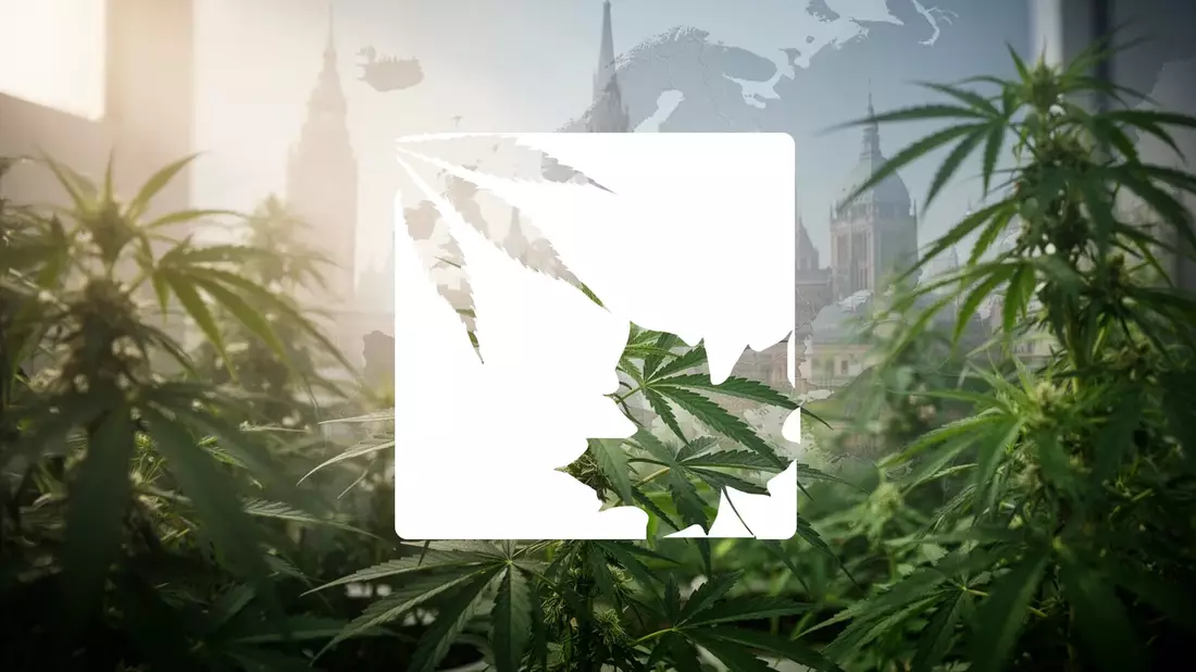 Organigram Aktie: Europa-Expansion als Wachstumstreiber