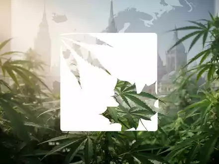 Eine abstrakte, atmosphärische Szene der Cannabisindustrie mit Fokus auf Wachstum und europäische Expansion. Grüne Cannabisblätter im Vordergrund, angedeutete europäische Architektur im Hintergrund. - Foto: über boerse-global.de
