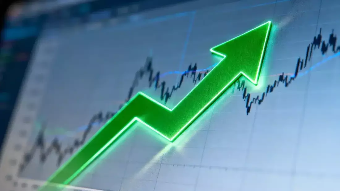 Bayer's Supreme Court Win and New Drug Alliance Fuel 87% Yearly Gain