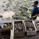 Kistenweise Knochen wurden in dem Garten entdeckt. - Bild: Moritz Frankenberg/dpa