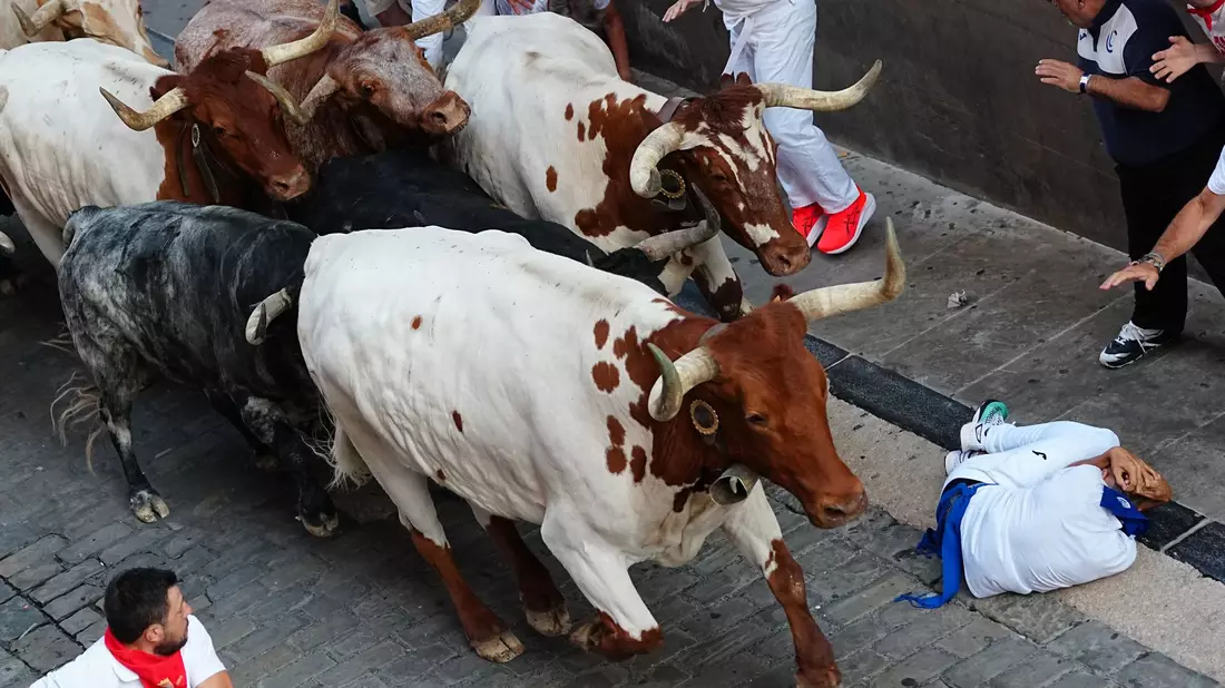 Wer während der Stierrennen in Pamplona stürzt, soll den Kopf mit den Armen vor den Hufen der Stiere schützen und sich möglichst schnell an den Straßenrand rollen. - Bild: Miguel Oses/AP/dpa