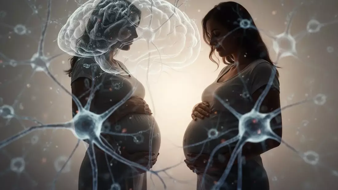 Schwangerschaft: Wie Zucker und Hormone das Kindesgehirn prägen