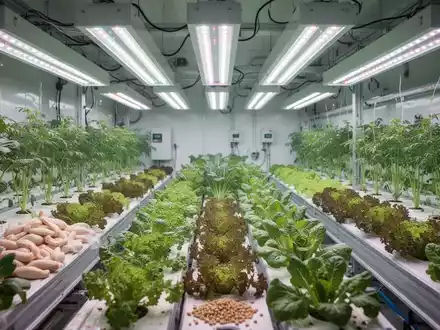 Eine moderne Indoor-Farm mit Pflanzen, die unter kĂĽnstlichem Licht wachsen, symbolisiert nachhaltige Landwirtschaft und die EU-Proteinstrategie. - Foto: ĂĽber boerse-global.de