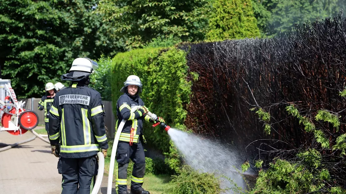 FW Hambühren: Unkraut abflammen? Keine gute Idee! - Feuerwehr Hambühren rückt zu Heckenbrand aus - Bild: presseportal.de