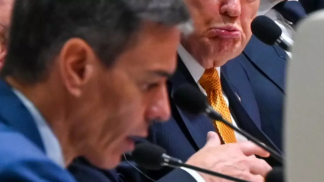 Zustimmung sieht anders aus: US-Präsident Donald Trump schaut skeptisch, während Spaniens Regierungschef Pedro Sánchez auf dem Nato-Gipfel in Ankara spricht. - Bild: Ansgar Haase/dpa