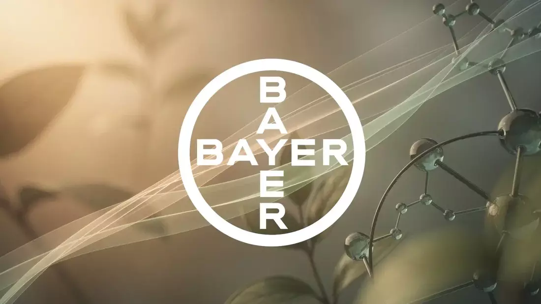 Bayer Stock Split: Analysts Disagree After Legal Wins and Rally