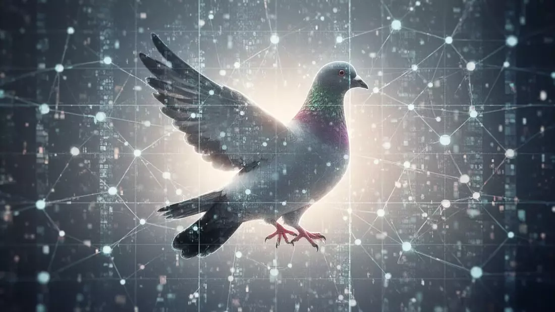 Roost App: Nachrichten im Brieftauben-Tempo erobern den Markt
