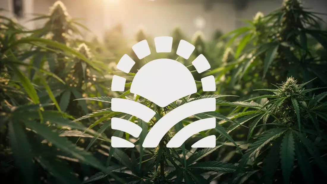 Green Thumb Industries: Entscheidende DEA-Anhörung naht