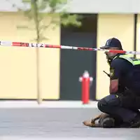 Das Gelände wurde abgesucht. - Foto: Karl-Josef Hildenbrand/dpa