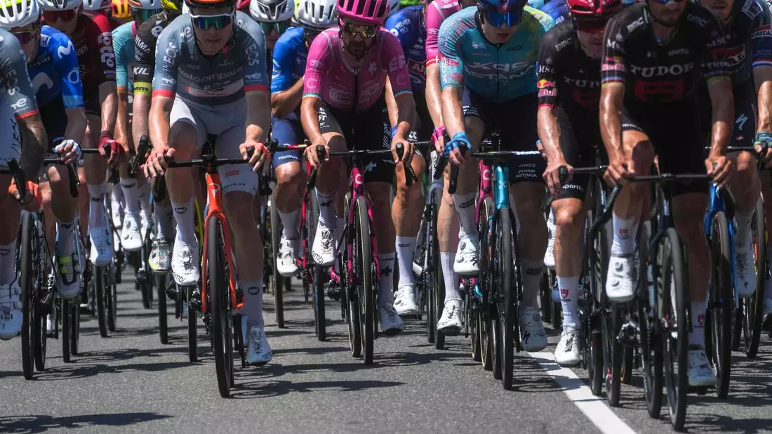 Profis in Aktion bei der Tour de France.  - Bild: Thibault Camus/AP/dpa