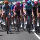 Profis in Aktion bei der Tour de France.  - Bild: Thibault Camus/AP/dpa