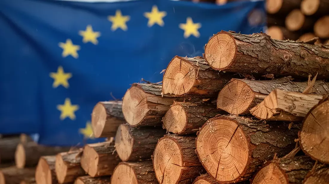 EuGH-Urteil zu Holz als grüner Energie: NGOs legen Berufung ein