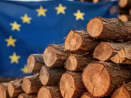 Ein Stapel sauber geschnittener Holzscheite vor einem unscharfen Hintergrund, der die Flagge der Europäischen Union zeigt. - Foto: über boerse-global.de