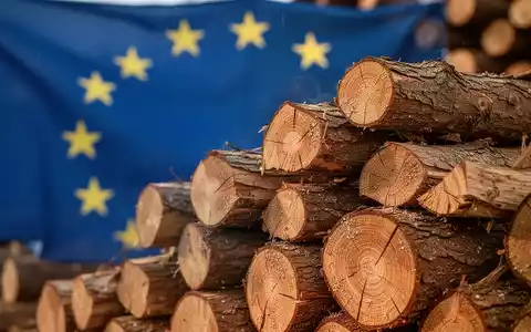 Ein Stapel sauber geschnittener Holzscheite vor einem unscharfen Hintergrund, der die Flagge der Europäischen Union zeigt. - Foto: über boerse-global.de