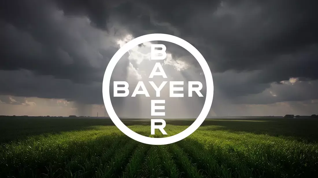 Bayer Stock Rally Faces Pivotal Legal Decisions and Overbought Signals