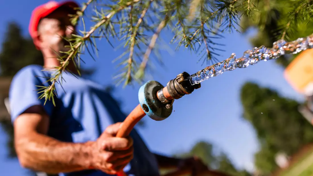 Wasser wird mancherorts schon für Menschen knapp - Pflanzen zu gießen, wird dann oft untersagt. (Symbolbild) - Bild: Philipp von Ditfurth/dpa
