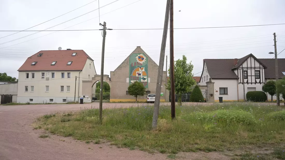 Das vier Jahre alte Mädchen war am Mittwochnachmittag von dem Familienhund im Ortsteil Drosa in der Gemeinde Osternienburger Land attackiert worden.  - Bild: Heiko Rebsch/dpa