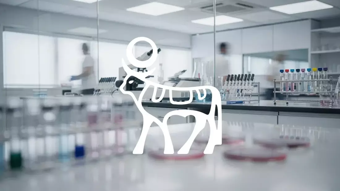 Novo Nordisk Launches Oral Wegovy, Weekly Insulin Awiqli Amid Supply Challenges