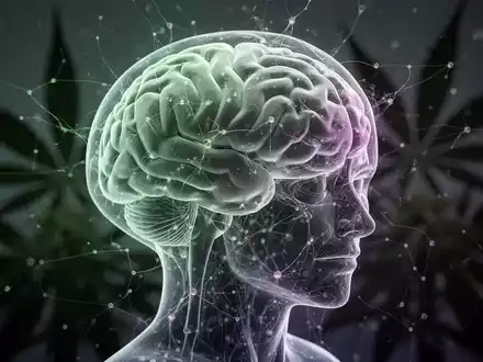 Ein stilisiertes, leuchtendes Gehirnmodell mit Neuronen und verschwommenen Cannabisblättern im Hintergrund, das die Auswirkungen auf das Gehirn symbolisiert. - Foto: über boerse-global.de