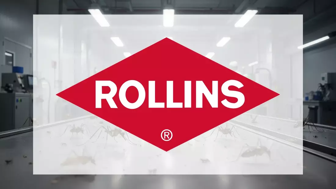 Rollins Aktie vor Quartalszahlen: Kann die Talfahrt gestoppt werden?