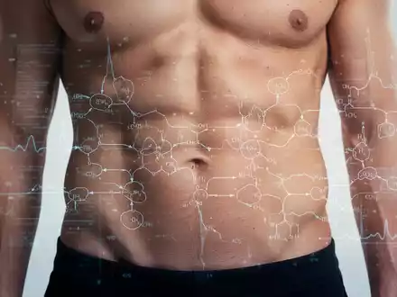 Nahaufnahme des Bauches eines Menschen mit einem abstrakten Overlay, das Stoffwechselwege darstellt. Fokus auf Gesundheit und Ernährung. - Foto: über boerse-global.de