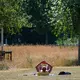Der UV-Index ist hoch, daher sollte man sich schützen, sagt der DWD  - Bild: Christoph Reichwein/dpa
