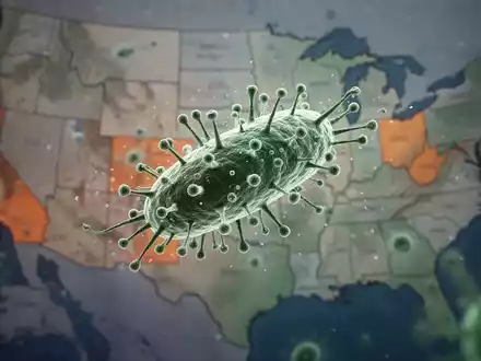 Ein stark vergrößerter, abstrakter Parasit Cyclospora cayetanensis vor einer unscharfen Karte der USA mit hervorgehobenen Staaten. - Foto: über boerse-global.de