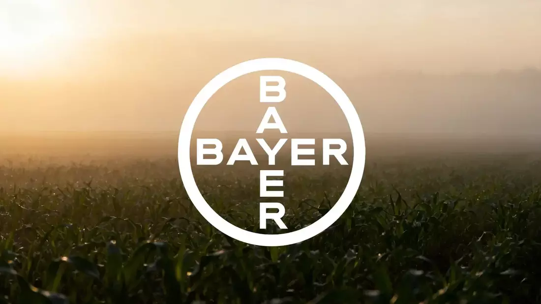 Bayer’s 81% Rebound: Supreme Court Victory and EU Tailwind Boost Stock