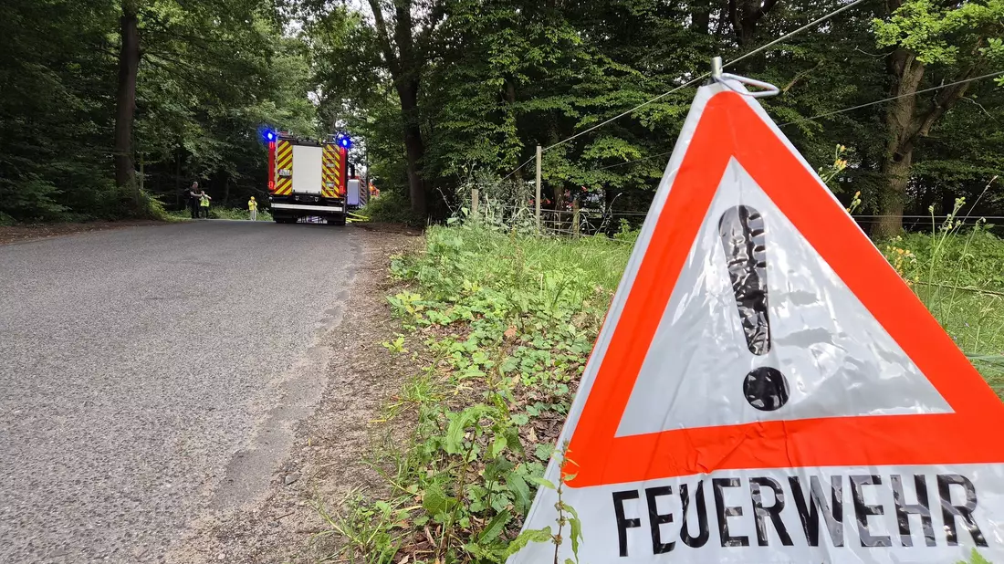 Die Gefahr von Waldbränden nimmt in Deutschland wieder zu. (Symbolbild) - Bild: str/dpa