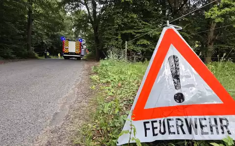 Die Gefahr von Waldbränden nimmt in Deutschland wieder zu. (Symbolbild) - Foto: str/dpa