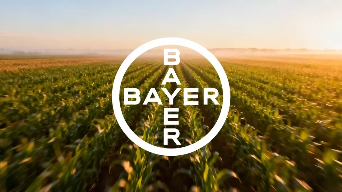 Bayer Shares Fall 1% as Germany Raises Drug Discount to 15.5%