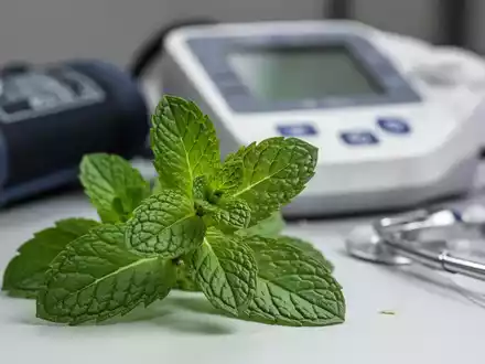 Nahaufnahme von frischen Pfefferminzblättern mit unscharfem Hintergrund eines Blutdruckmessgeräts und medizinischer Instrumente. - Foto: über boerse-global.de