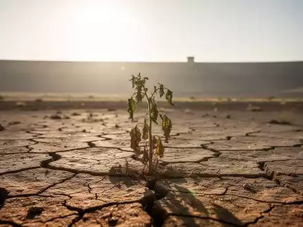 Trockene, rissige Erde unter sengender Sonne mit einer welkenden Pflanze und einem ausgetrockneten Stausee im Hintergrund. - Foto: über boerse-global.de