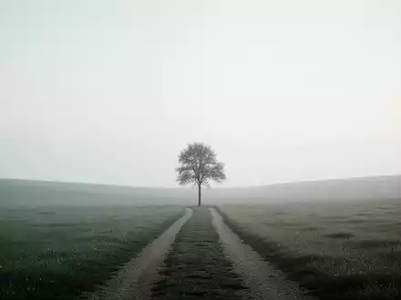 Eine ruhige, minimalistische Landschaft mit einem einzelnen Baum und einem klaren Weg, der ein Gefühl von Einfachheit und Frieden vermittelt. - Foto: über boerse-global.de